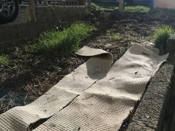 Rent Free: Large front gardens Bristol