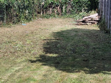 Rent Free: Sunny back garden in Stockport