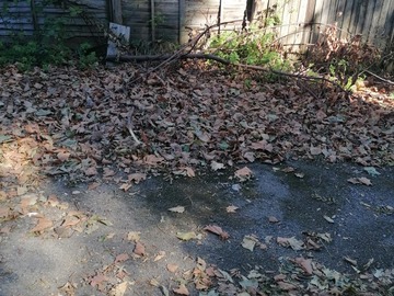 Earn a Monthly Rent: Garden Space on edge of stunning St George park 