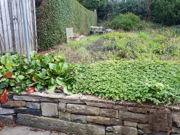 Rent Free: Birstall Batley