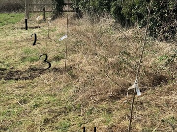 Rent Free: South facing with far reaching views