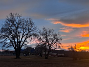Rent Free: sunny plot in Boulder Colorado already tilled
