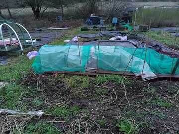 Rent Free:   Vegetable growing space in Hertford 