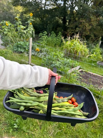 Extra large plot with raised beds