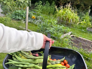 Earn a Monthly Rent: Extra large plot with raised beds