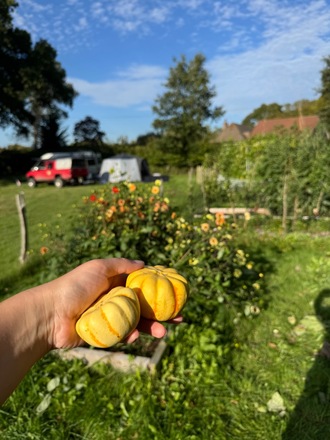 Extra large plot with raised beds