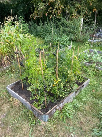 Extra large plot with raised beds