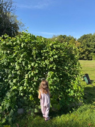 Extra large plot with raised beds