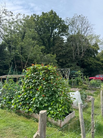 Extra large plot with raised beds