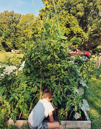 Extra large plot with raised beds