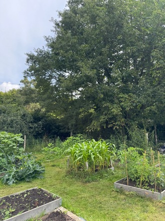 Extra large plot with raised beds