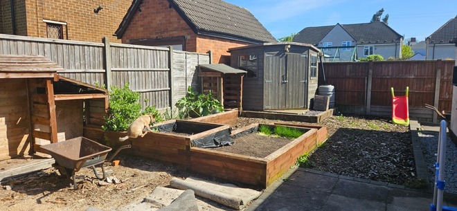 Good size south facing plot with shed and planters 