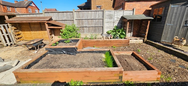 Good size south facing plot with shed and planters 