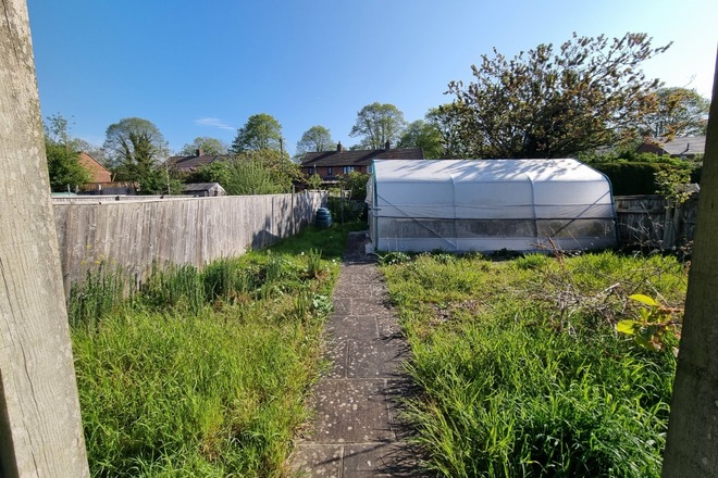 Partial Use of a sunny back garden 