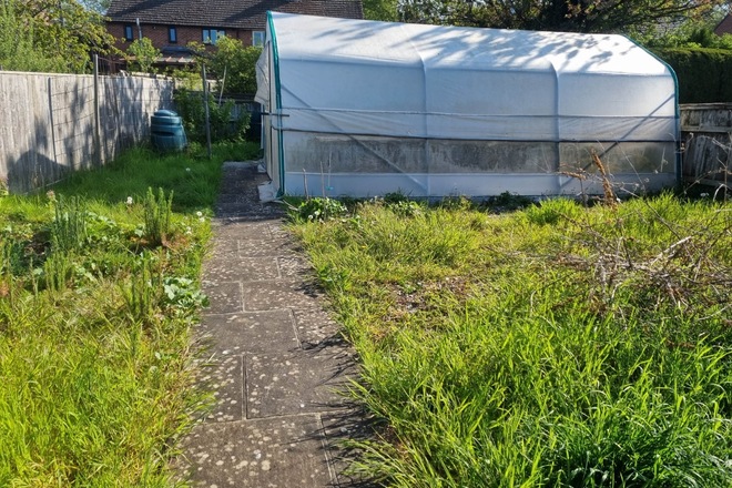 Partial Use of a sunny back garden 