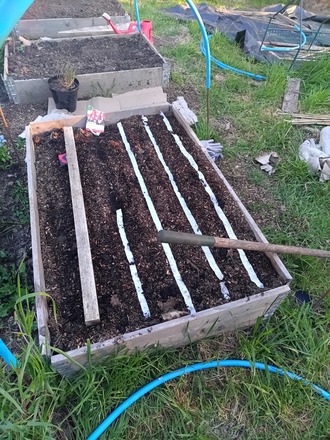   Sunny  growing plot in Hertford 