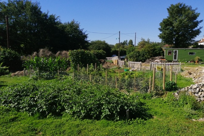 Pimlico Way - Full sun in the Alkham Valley, Kent