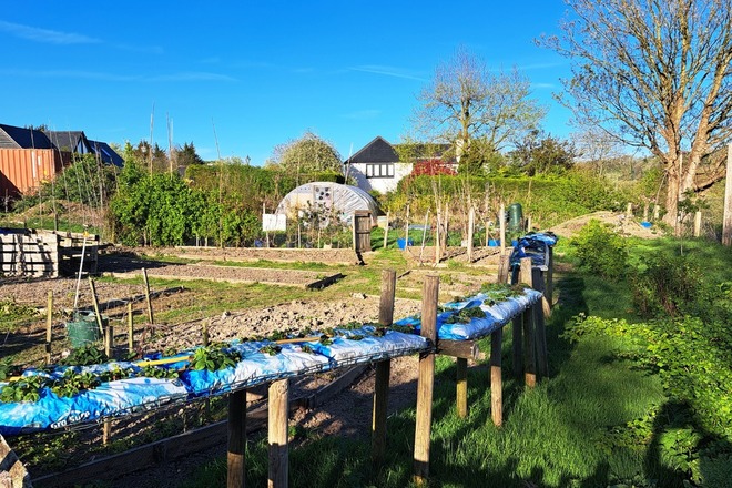 Pimlico Way - Full sun in the Alkham Valley, Kent