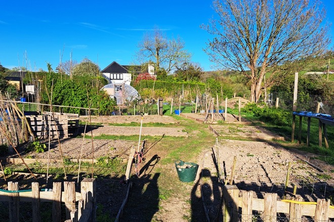 Pimlico Way - Full sun in the Alkham Valley, Kent