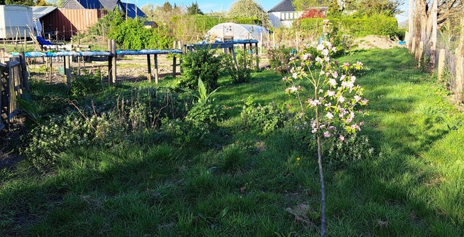 Pimlico Way - Full sun in the Alkham Valley, Kent