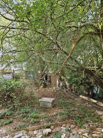 South facing garden in watford