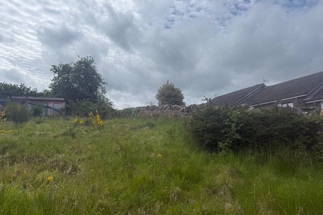 Sunny garden in Penicuik 