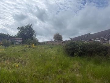 Rent Free: Sunny garden in Penicuik 
