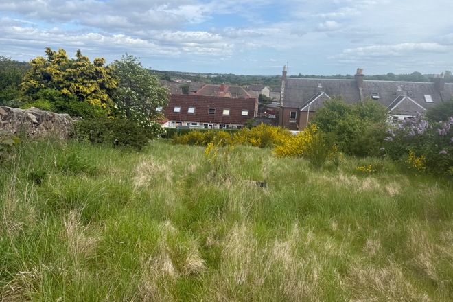 Sunny garden in Penicuik 