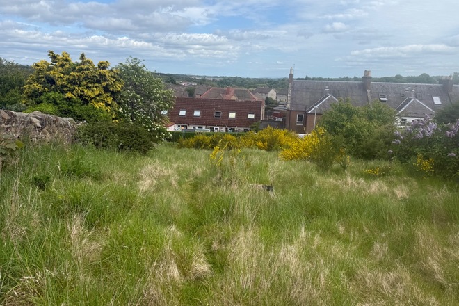 Sunny garden in Penicuik 