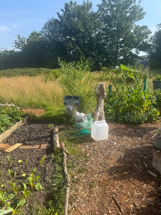 Rent a Small piece of Marbury Road edible Garden