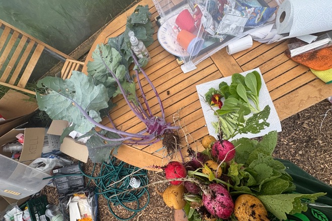 Rent a Small piece of Marbury Road edible Garden
