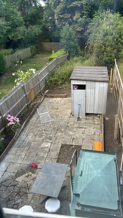 Large back garden in Tooting (needs work)