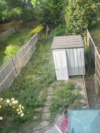 Large back garden in Tooting (needs work)