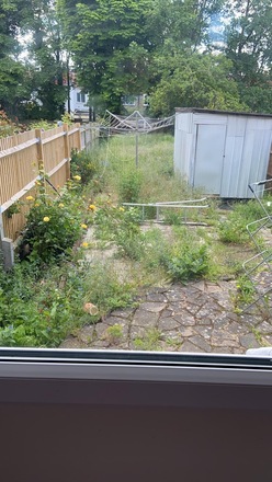 Large back garden in Tooting (needs work)