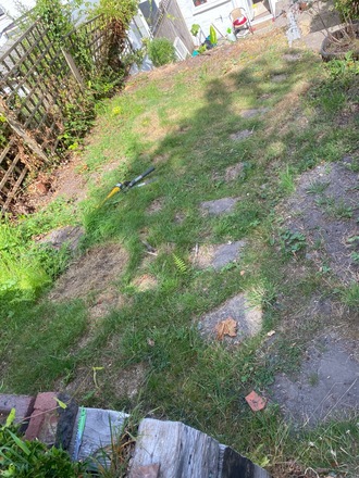 Long narrow garden with both sunny spots and shady areas