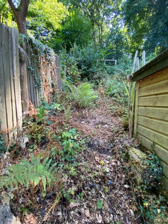 Long narrow garden with both sunny spots and shady areas