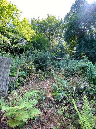 Long narrow garden with both sunny spots and shady areas