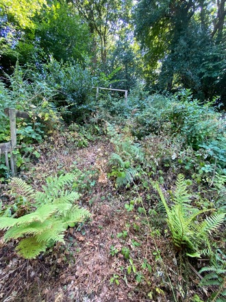 Long narrow garden with both sunny spots and shady areas