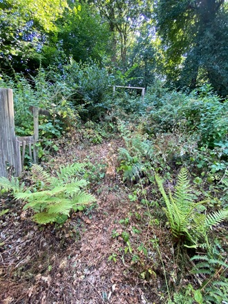 Long narrow garden with both sunny spots and shady areas