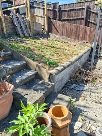 Small Garden  plot in teesside