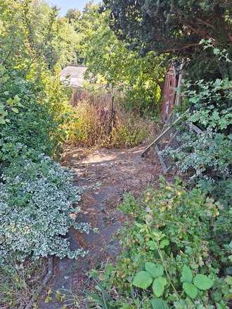 Small Garden  plot in teesside
