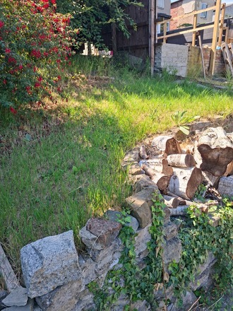 Small Garden  plot in teesside