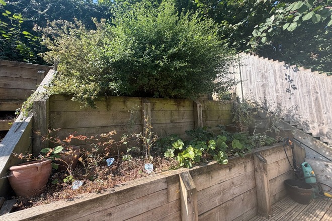 Charming Chartham Vegetable and Herb Garden