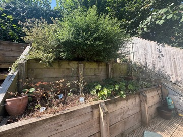 Earn a Monthly Rent: Charming Chartham Vegetable and Herb Garden
