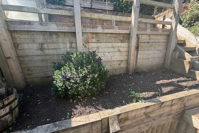 Charming Chartham Vegetable and Herb Garden