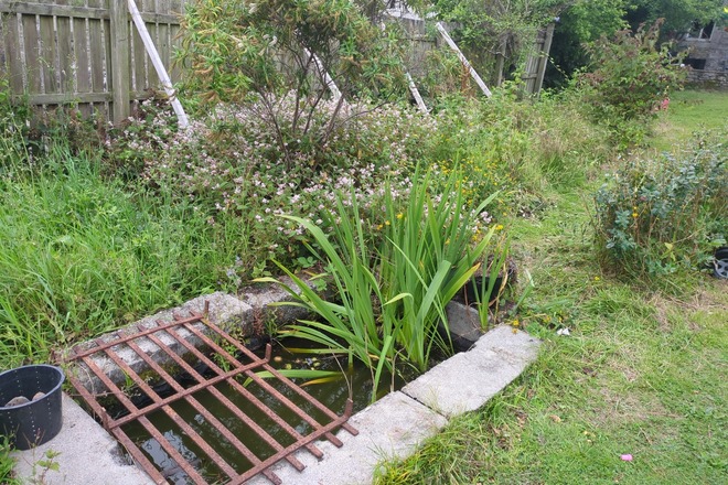 Vegetable garden 