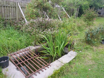 Rent Free: Vegetable garden 