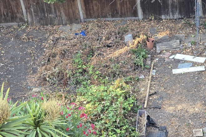 Hackney Clapton small allotment garden rental