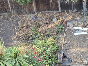Earn a Monthly Rent: Hackney Clapton small allotment garden rental