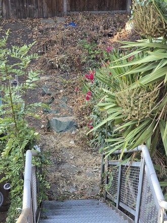 Hackney Clapton small allotment garden rental